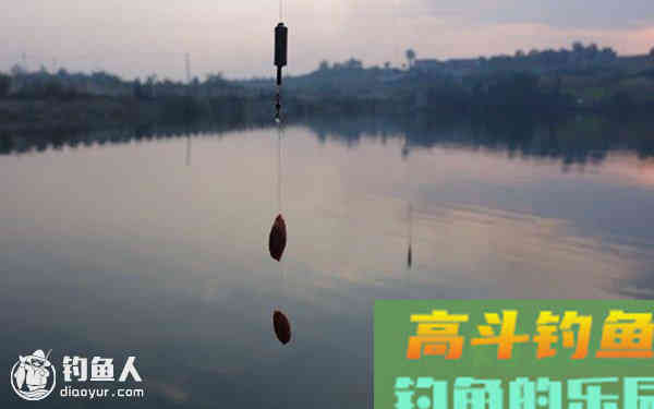台钓调漂的步骤法之实战战略技巧