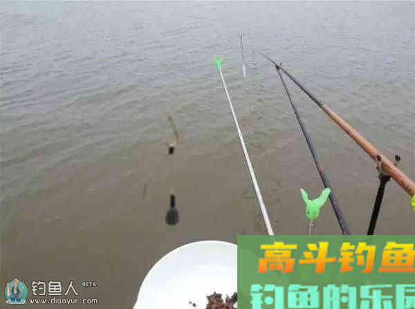 寒潮作钓的基础找底法（野钓、黑坑、竞技钓）