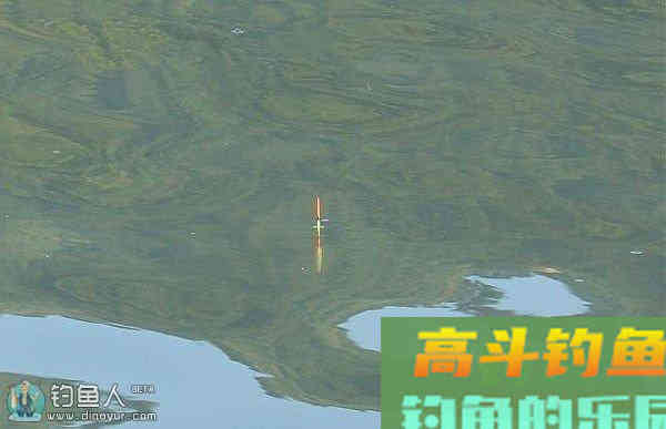 调几钓几的定义与钓灵钓钝调漂攻略