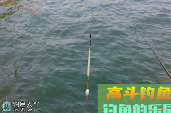 新手必看的浮漂的调整步骤和方法