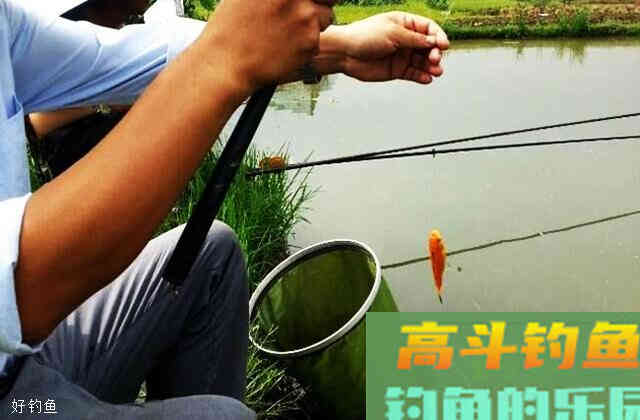 不跑鱼的流水调漂方法