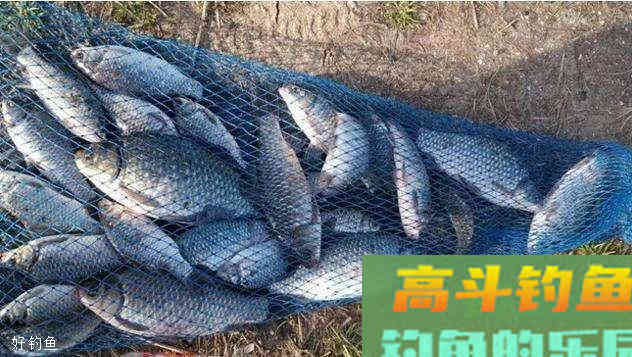 野钓半水调漂如何能更精准