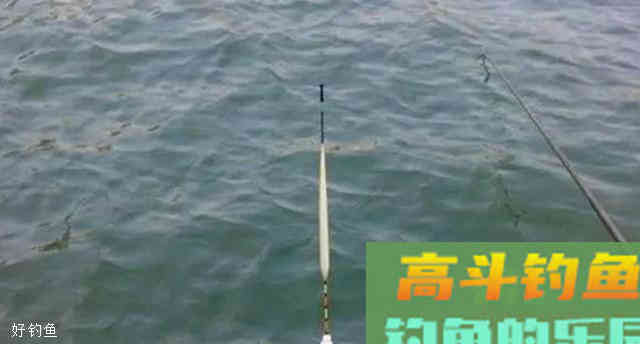 判断鱼有无上钩的5种台钓漂相