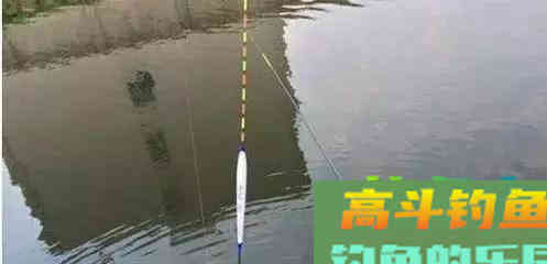 浮漂调灵调钝，影响上鱼率