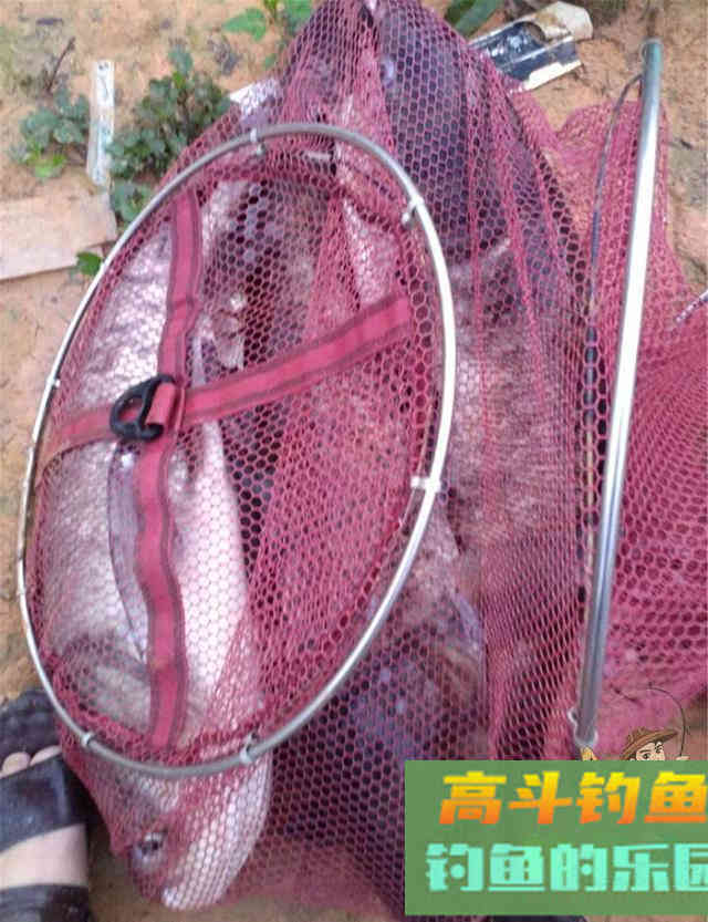 有关调漂的这几个技巧