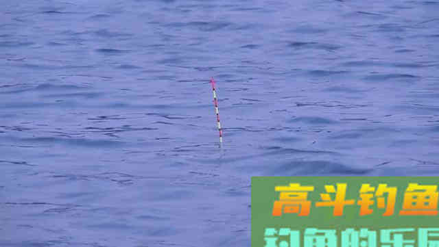 冬季鱼口轻、漂讯弱，两招就能搞定，读漂不再靠蒙