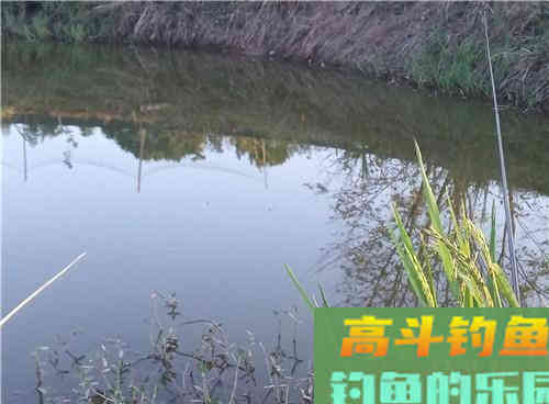 野钓时调平水钓两目如何调漂？调平水钓两目的调钓技巧