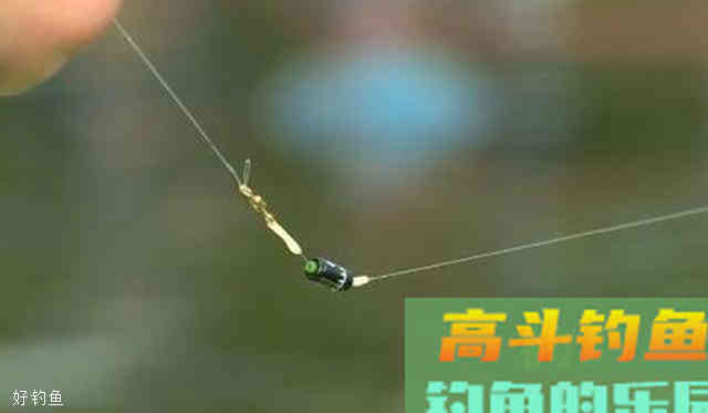 教你7个步骤的无钩调漂法