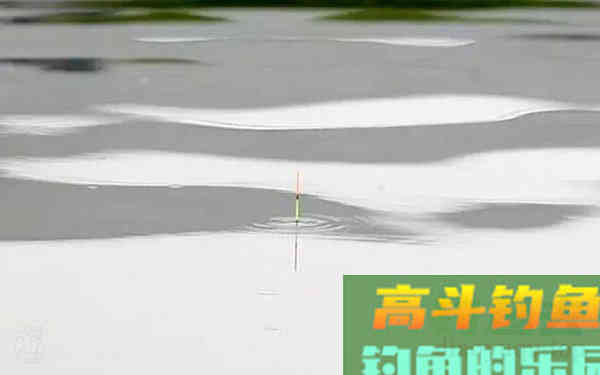 钩饵的重量与浮漂调钓的关系
