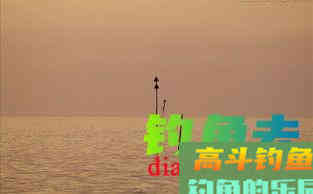 野钓调漂有什么个技巧？4个小妙招