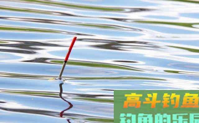 冬季降温自然水域鱼口轻该如何调钓？解析2调钓技巧