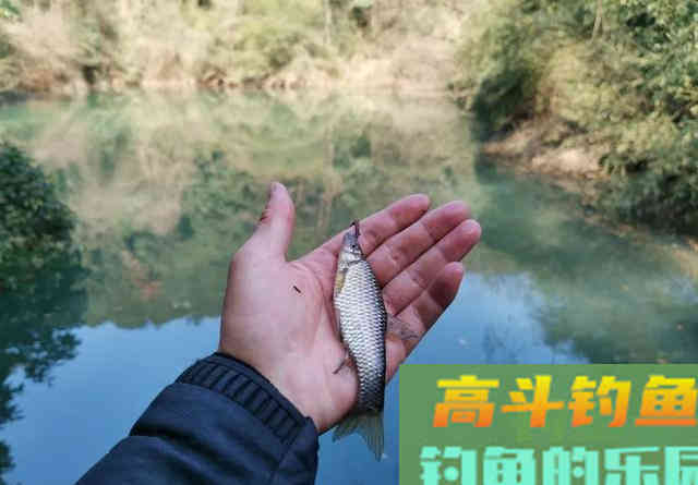 一钩触底一钩悬怎么调？灵敏未必多鱼，野钓建议偏钝