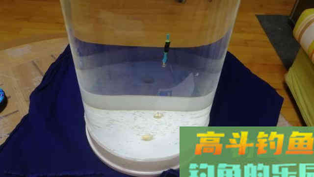 还在纠结怎么调漂吗？看老钓友全方位为你分析