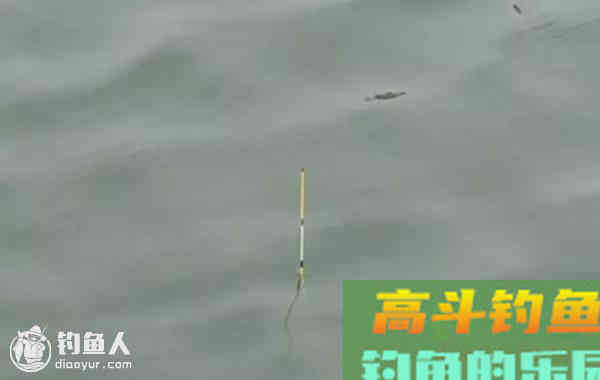 钓鱼的11个漂相，看后钓鱼不愁了