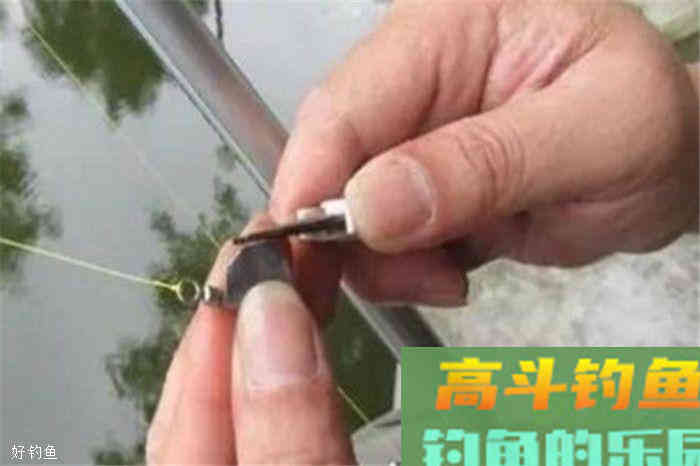 野钓调漂技法分享，快速而实用