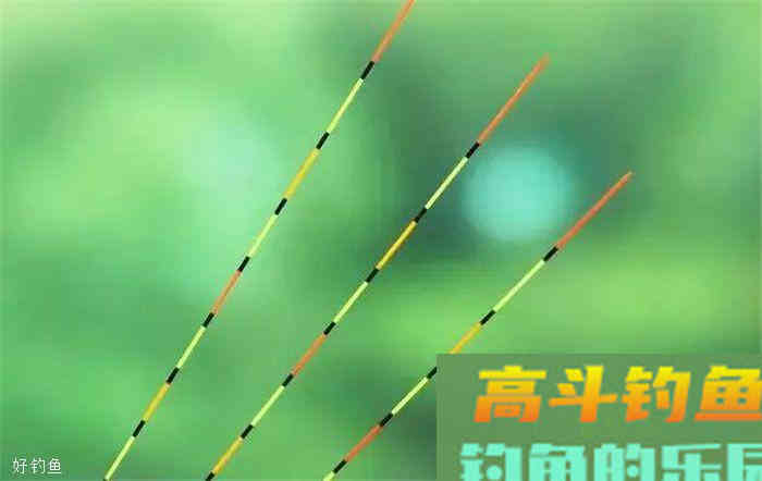 观漂相识鱼，十种常见漂相详解