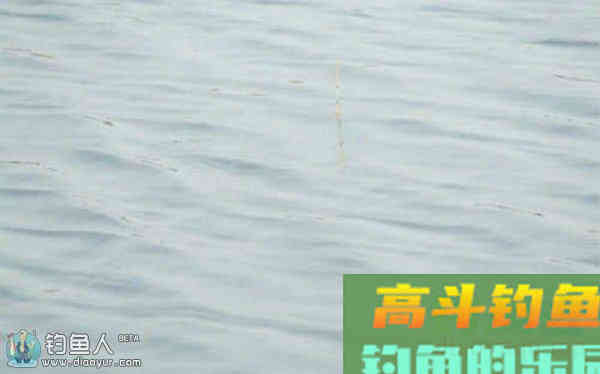 新手必看的浮漂的调整步骤和方法