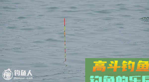 达人分享休闲野钓浮漂的五步调钓法