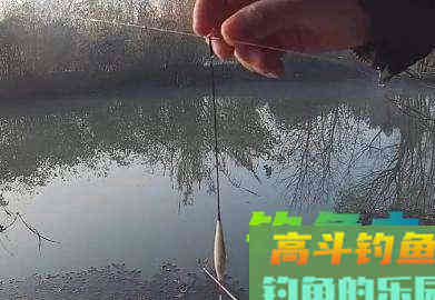 如何精准调漂和剪铅，这些钓鱼小技巧要学会
