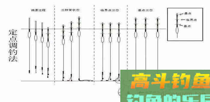 钓组调整，饵料到底后怎么做才能让每一口都是真实信号