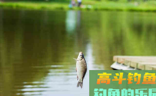 天冷鱼口轻，如何让浮漂动作更大？调漂很关键