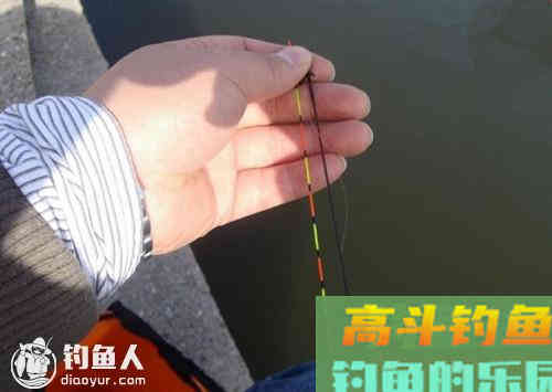 四类不同鱼情的调钓技巧分析