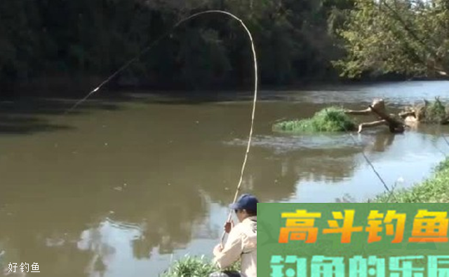 钓鱼人秘诀：钓鱼为什么要找底