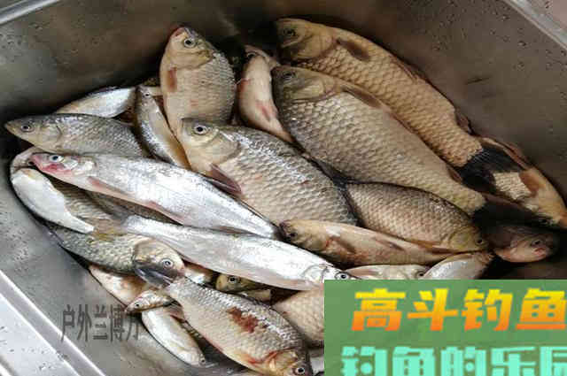 鱼口变差，应该及时调整作钓技巧