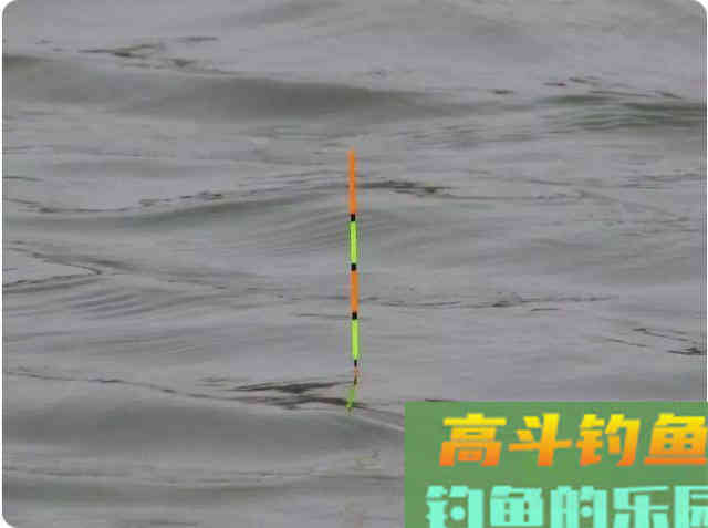浮漂没有信号扬竿却中鱼，是什么原因了？