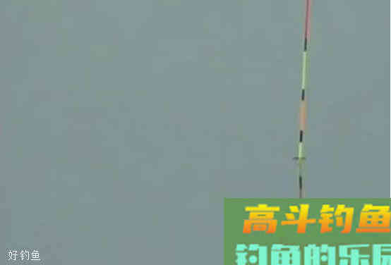 夏季野钓中带饵调漂的3个小技巧