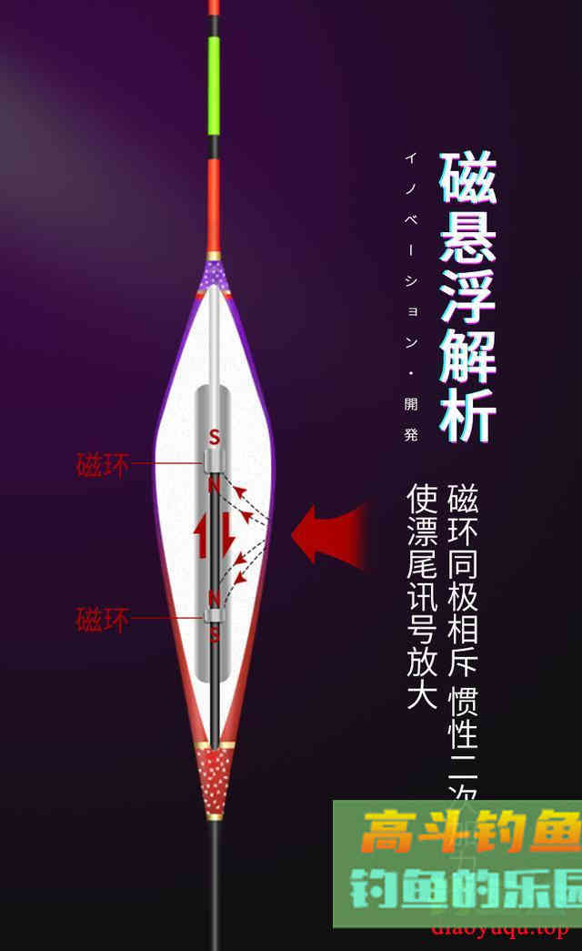 放大顿口，高科技磁悬浮浮漂，真有用还是收割智商？