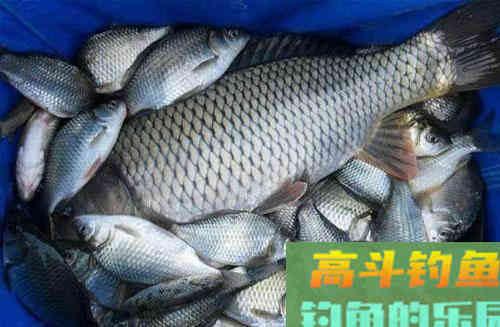怎么才能搞定浮漂走水？这些方法来帮你