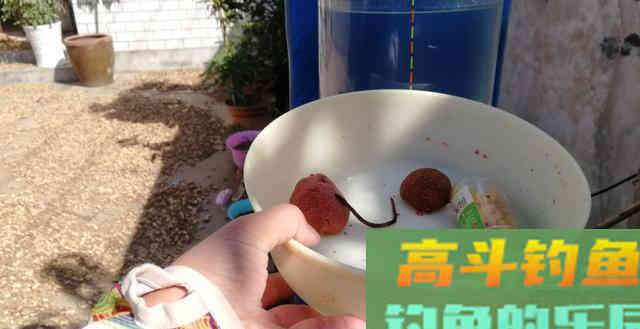 想知道钩饵在水底是什么状态吗