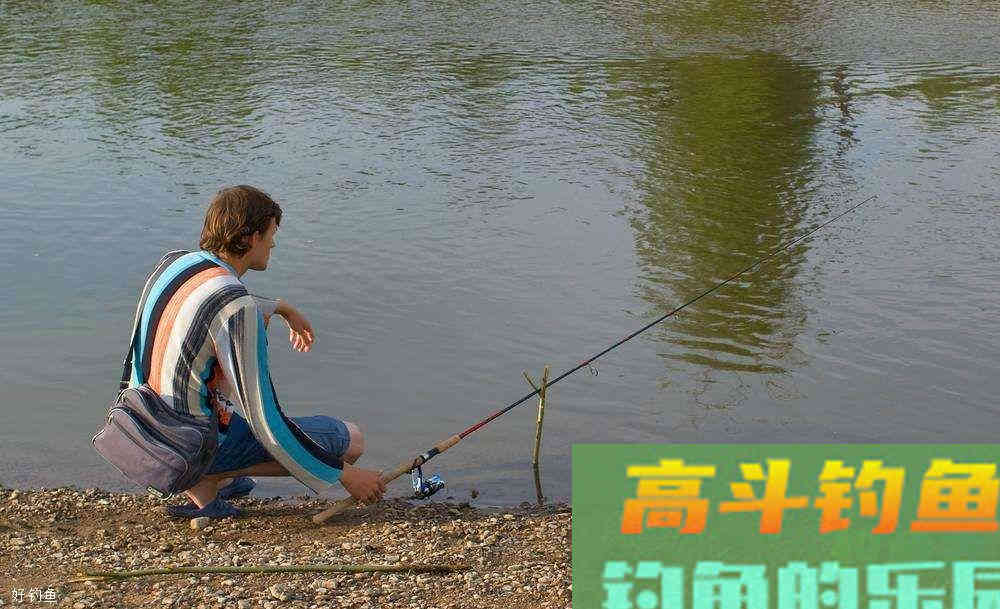 台钓三步调漂法 “调四钓二”怎么调？