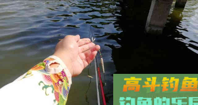 浮漂的调钓，到底何为灵？何为钝？