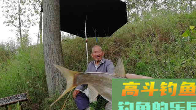 关于钓组中调目与钓目关系，看懂弄明白你也一样是调漂高手