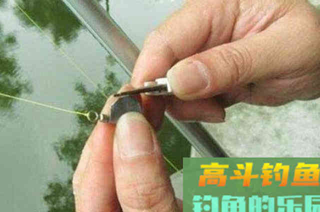 浮漂调钓的一些基本技巧，讲的是浮漂调钓的精髓