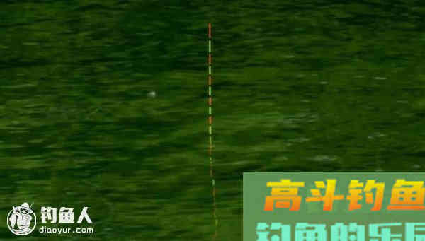 鲫鱼的吃口分辨及浮漂的调整