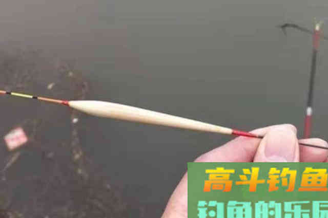 鲤鱼越大越难钓，殊不知这套用漂技能百试百灵