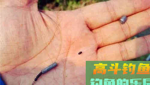 野钓调漂四个步骤，你真的会吗？