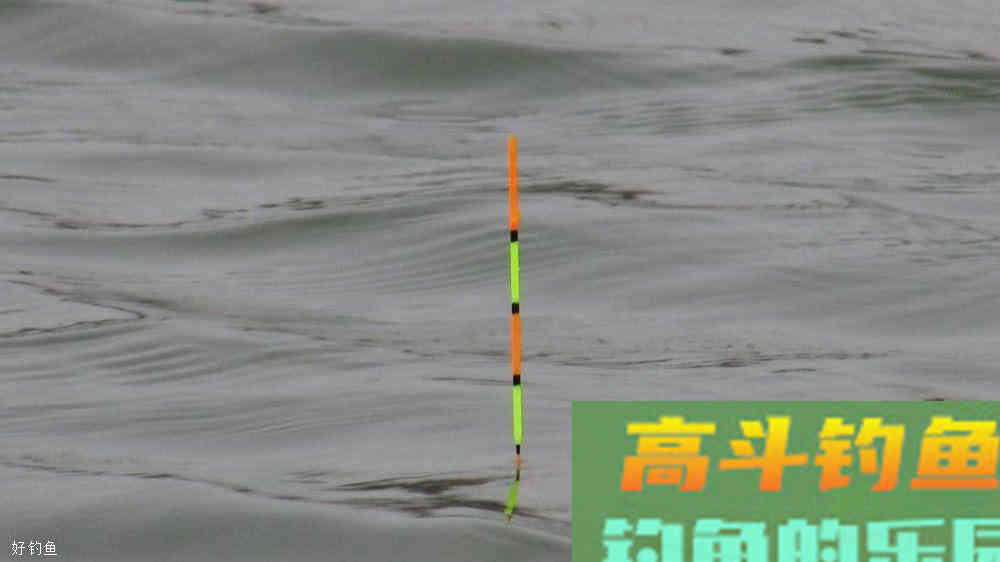 如何调漂找底？谈谈钓饵与调漂的关系