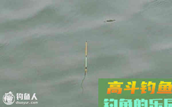 分享台钓调漂灵与钝的攻略分享