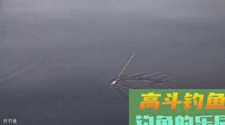 常见的4种漂相及扬竿技巧