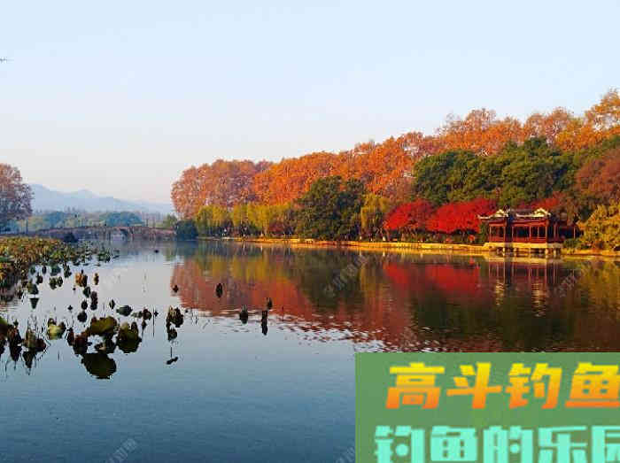 针对不同的作钓水域，是如何来前期找底与调钓