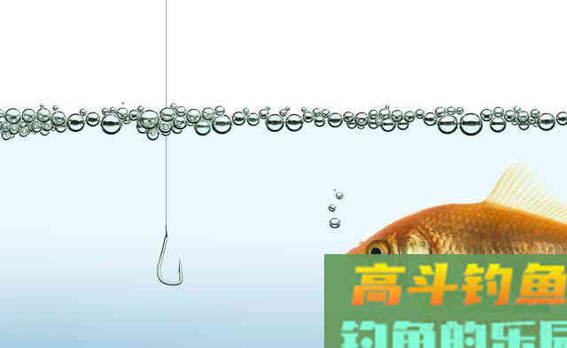 用加粗尾浮漂野钓，调漂不对难上鱼