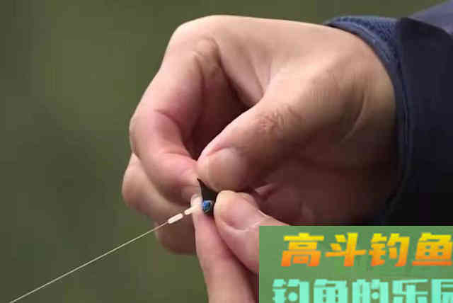 换用麦粒钓鲫鱼，不知钓灵还是钓钝？教你正确做法