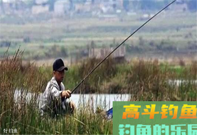 教你从2个方面掌握台钓浮力中心点