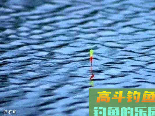 台钓调平水调漂的关键点你确定都学会了？