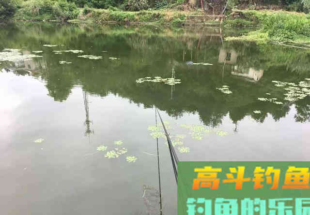 钓鱼调漂：带钩调和不带钩调有什么区别