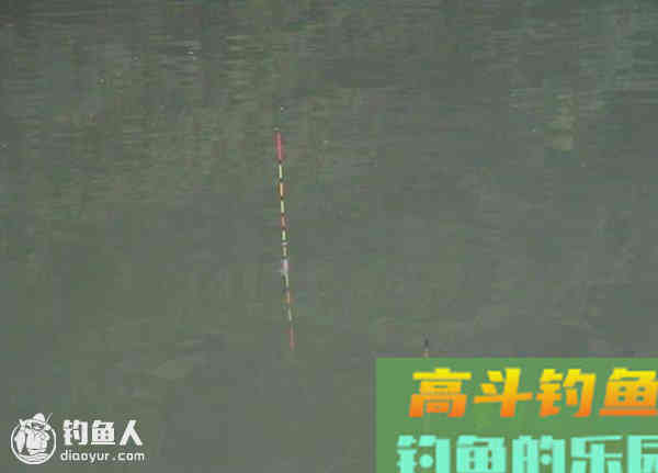 钓组灵敏度与漂相、饵态的关系